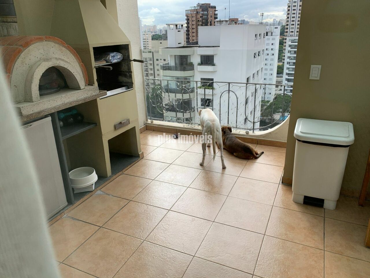 Foto 5