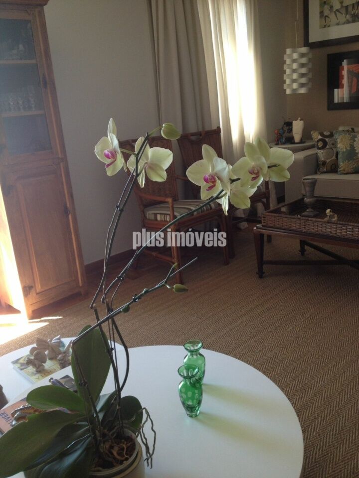 Foto 22