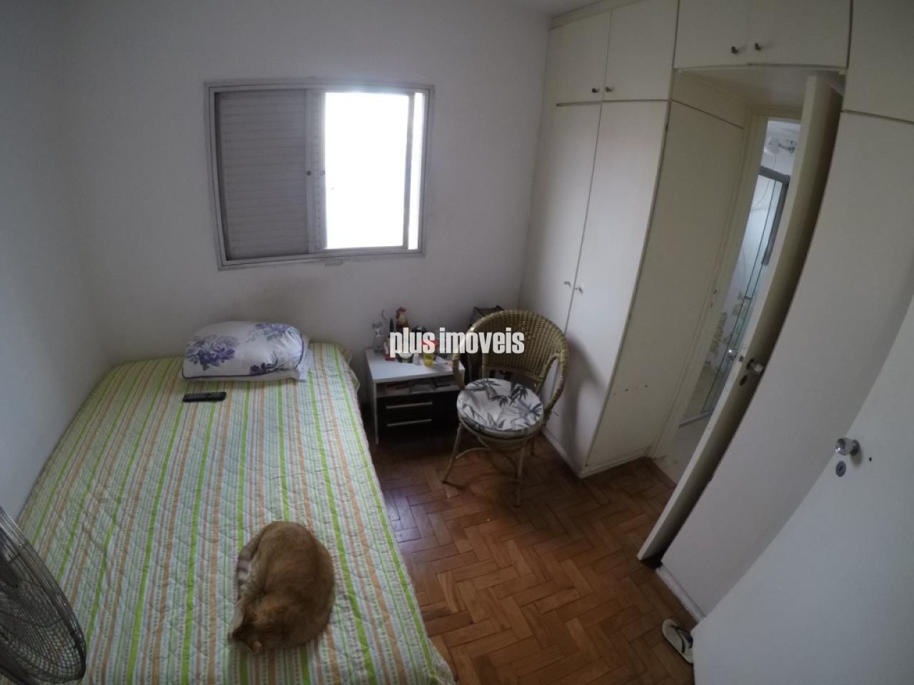 Foto 7