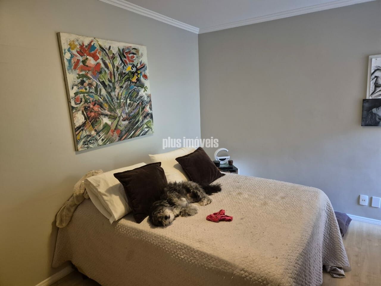 Foto 17
