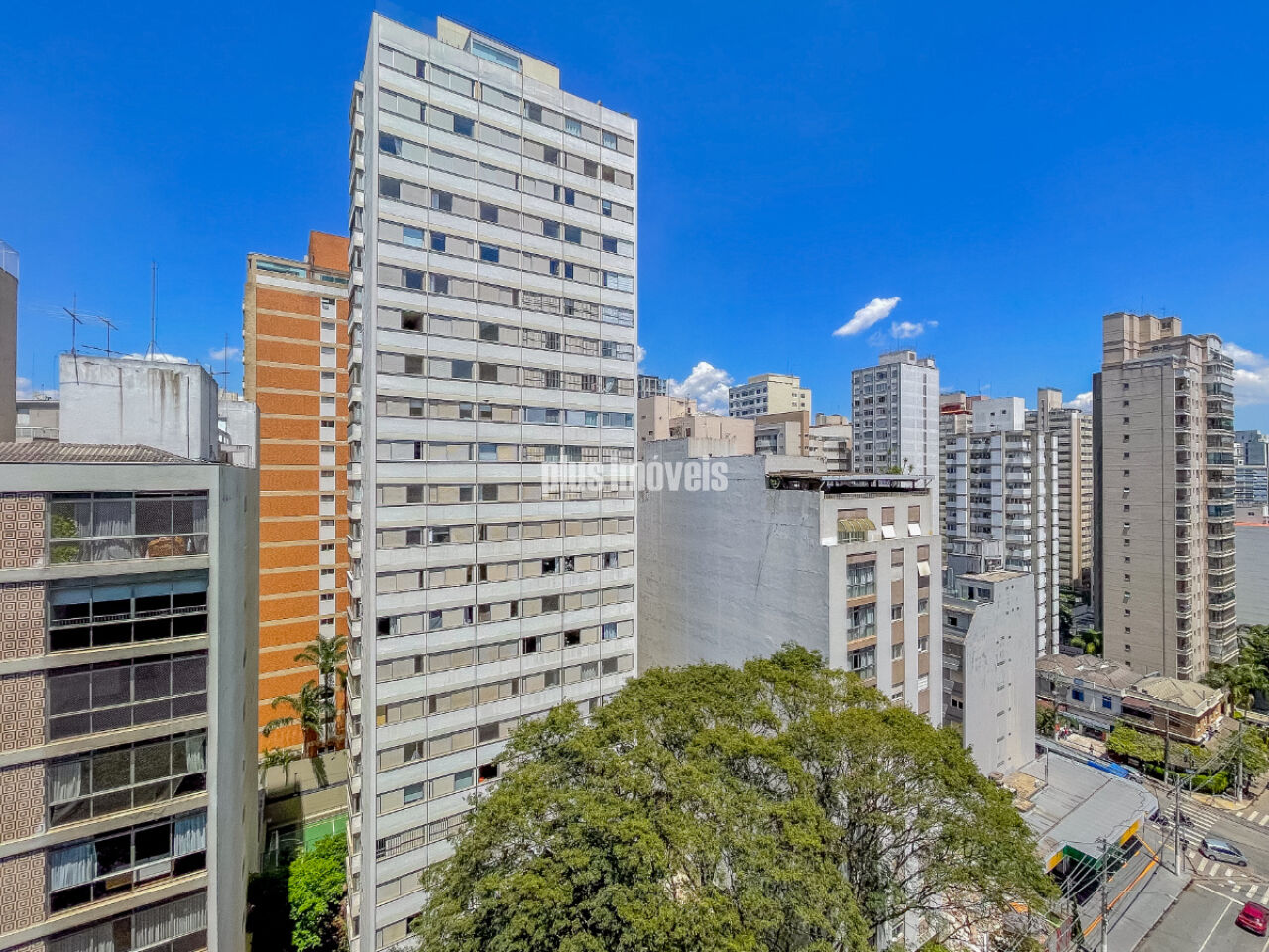 Foto 48