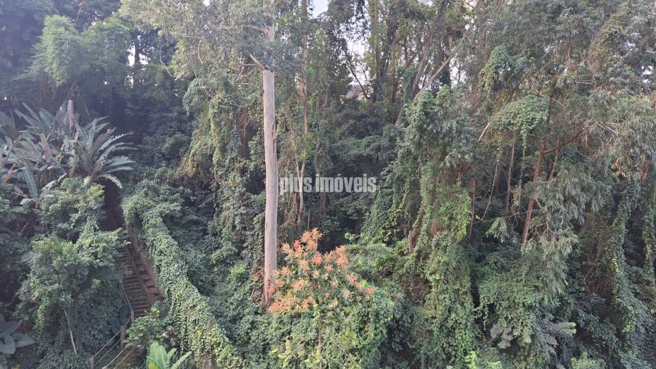 Foto 31