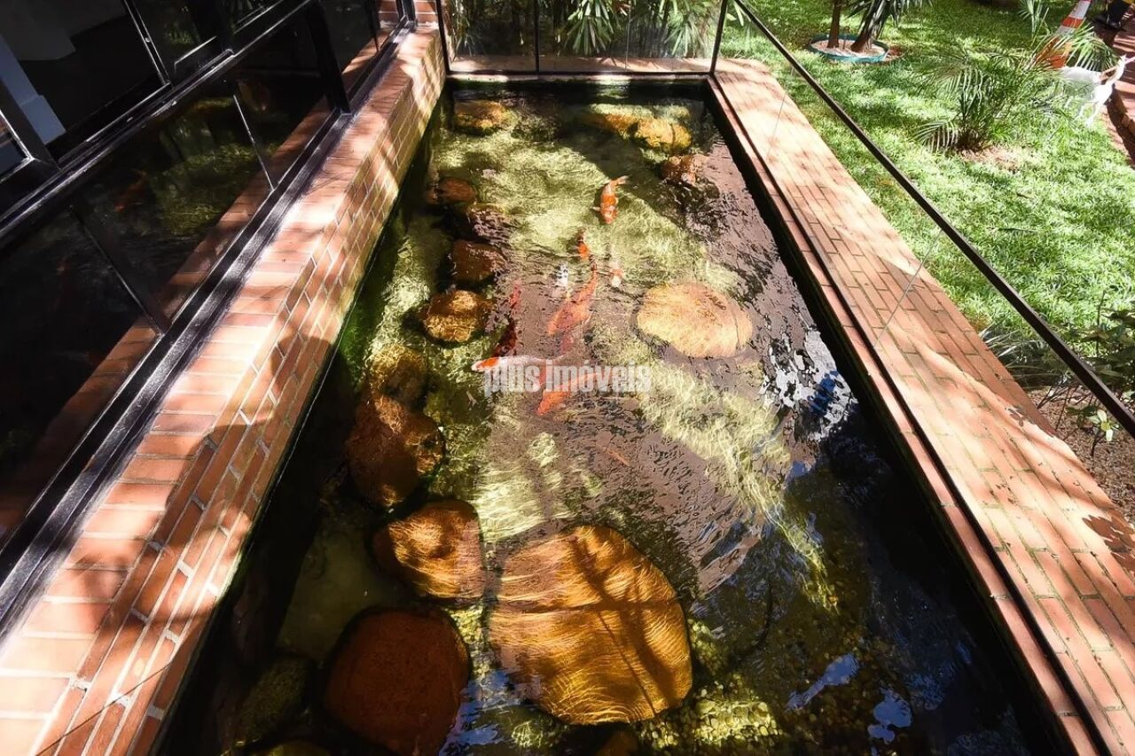 Foto 42