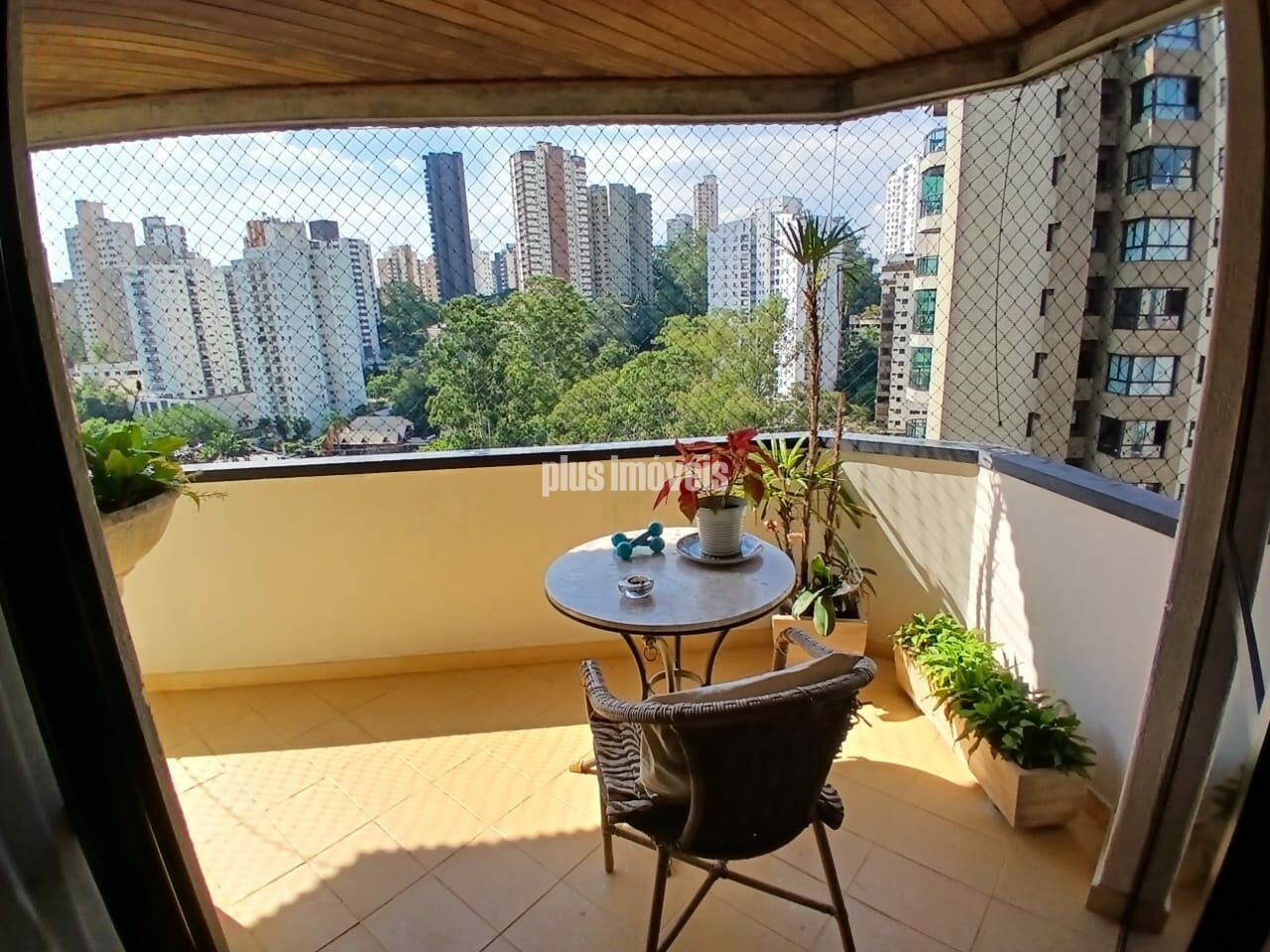 Foto 6