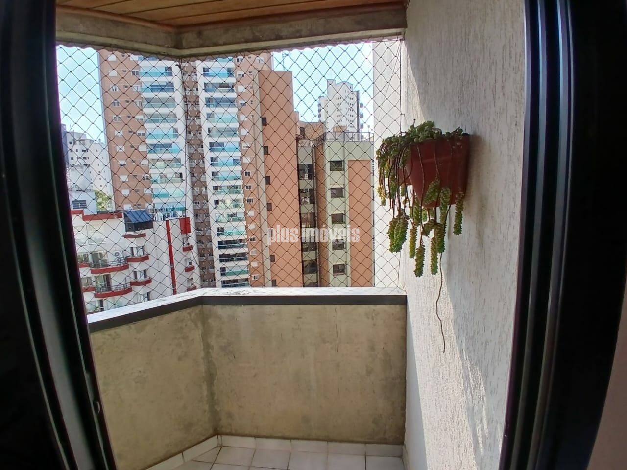 Foto 20