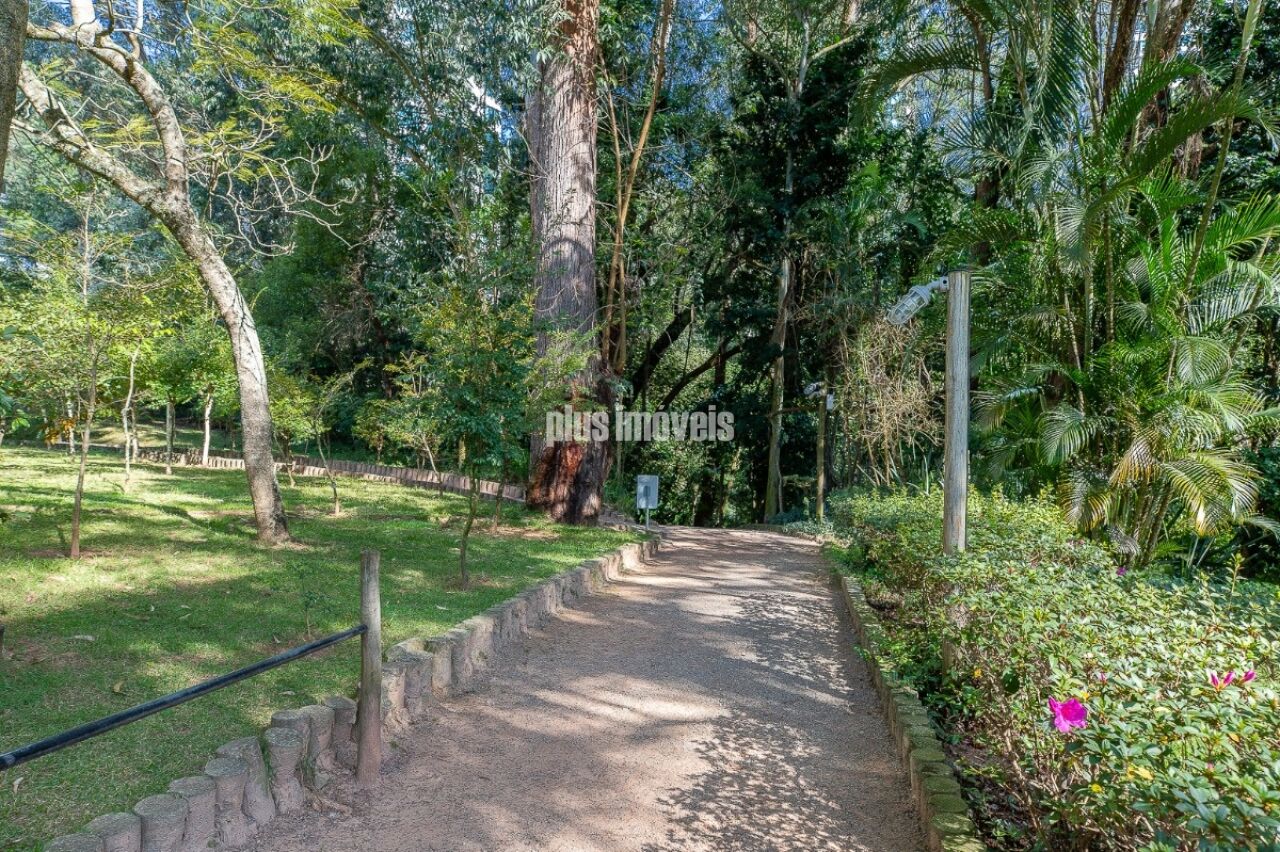 Foto 42