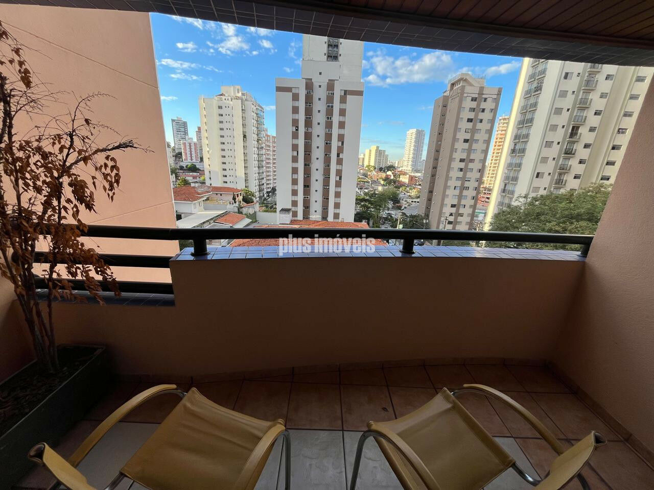 Foto 20