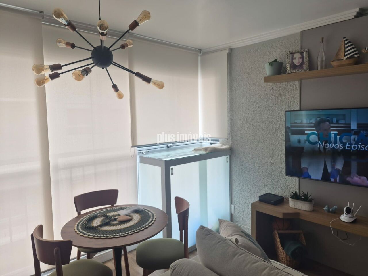 Foto 5