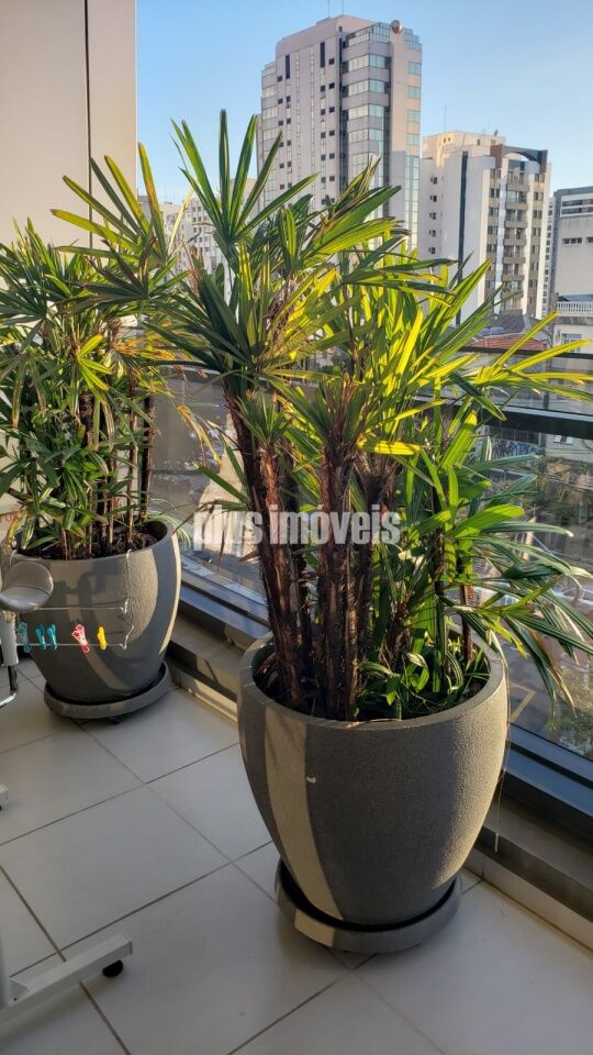Foto 22