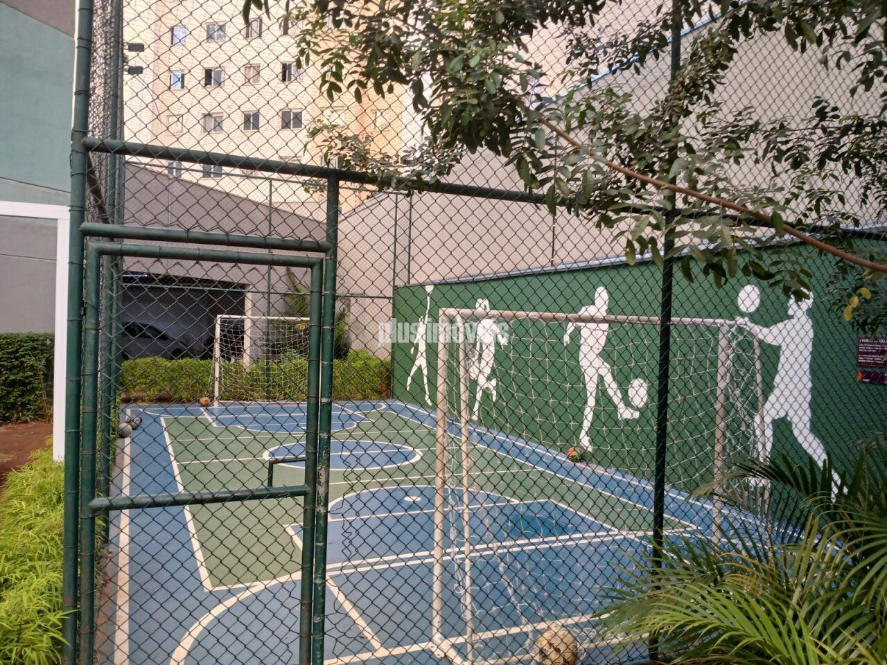 Foto 42