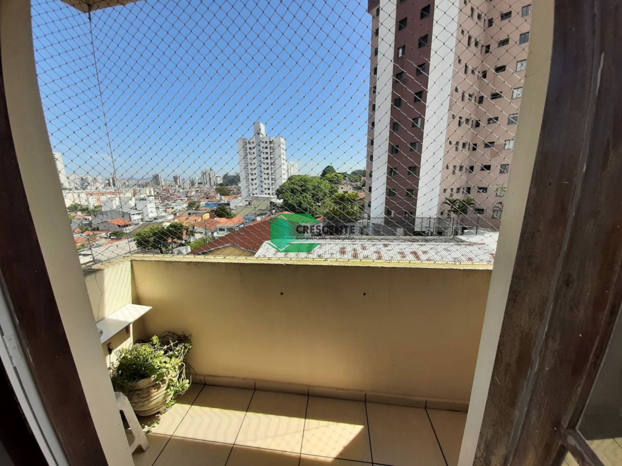 latest property
