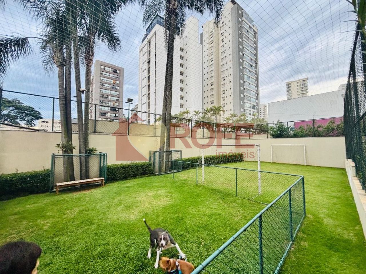 Foto 24 - RF38971
