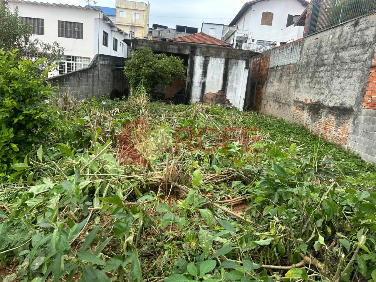Foto 3 - RF47982
