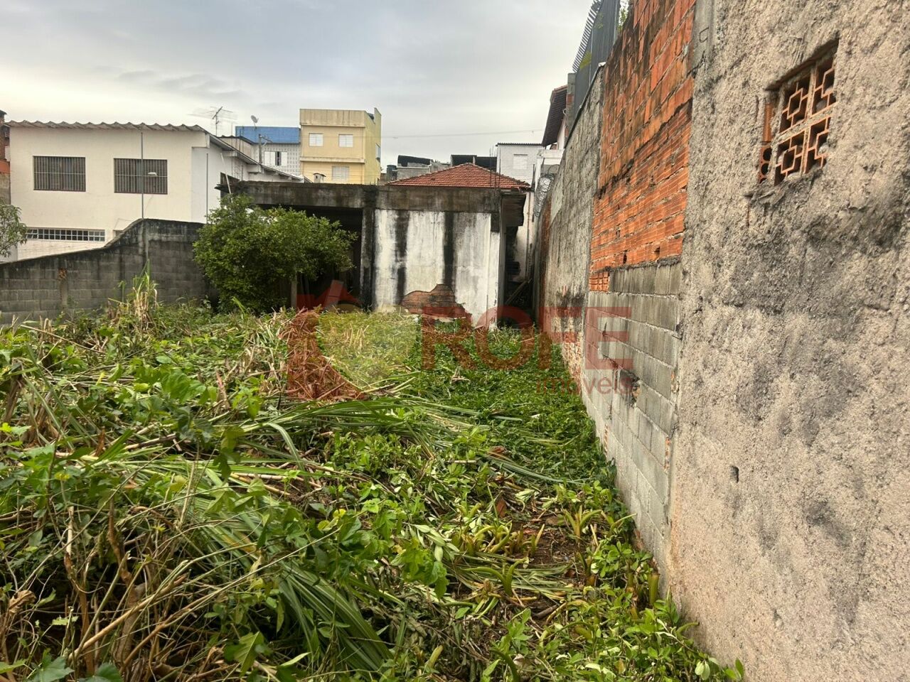 Foto 5 - RF47982
