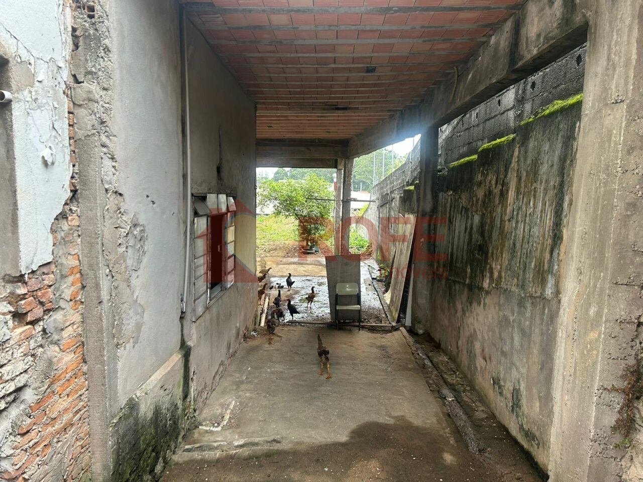 Foto 23 - RF47982