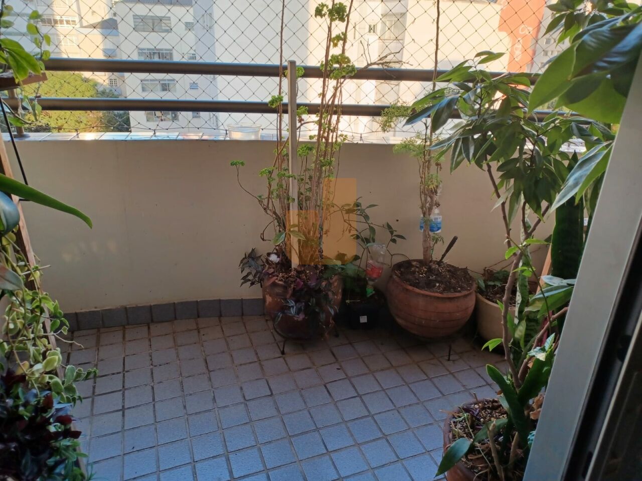 Apartamento para Venda - Higienópolis